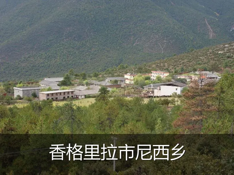 香格里拉市尼西乡
